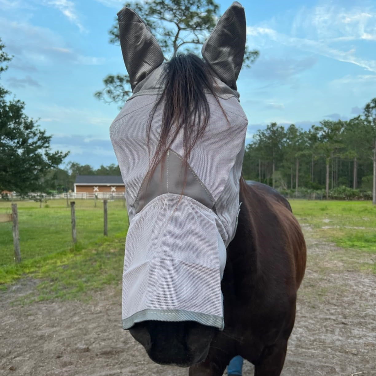 Masque anti-mouches respirant avec protection intégrale