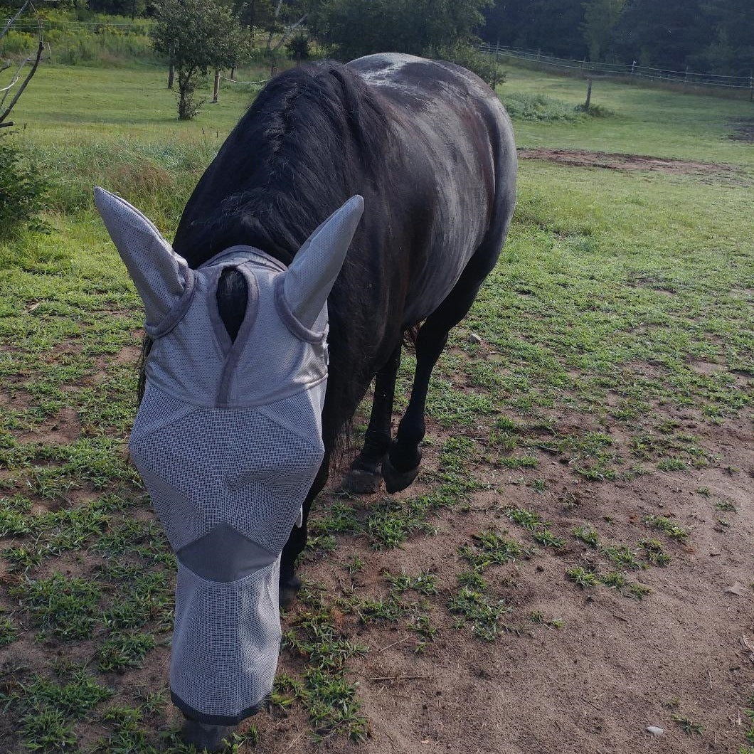 Masque anti-mouches respirant avec protection intégrale