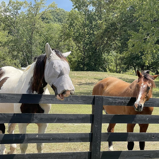 Masque anti-mouches respirant avec protection intégrale