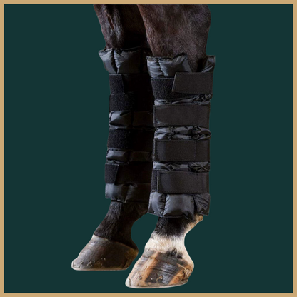 Guêtres de refroidissement équestres – Pack de 2