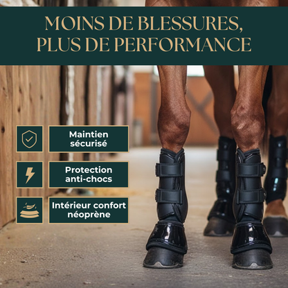 Guêtres et protège-boulets équestres