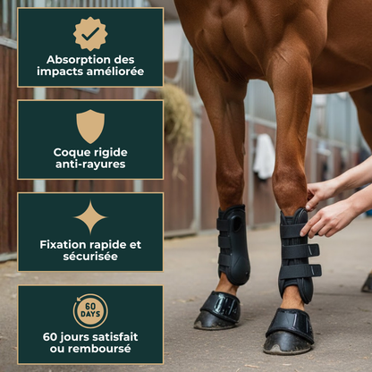 Guêtres et protège-boulets équestres