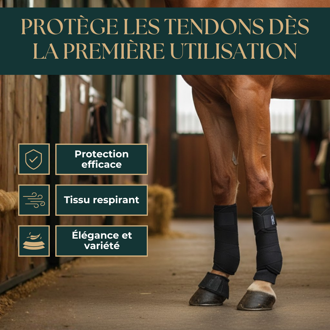 Bandages élastique – Lot de 2