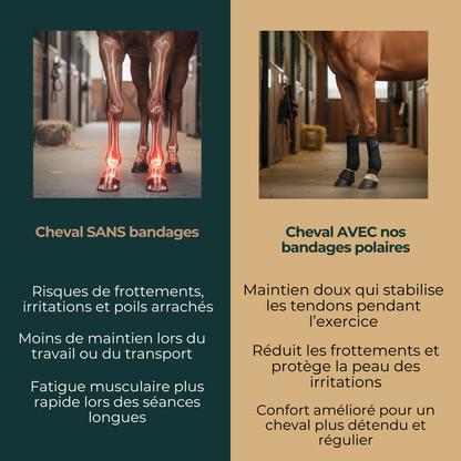 Bandages élastique – Lot de 2