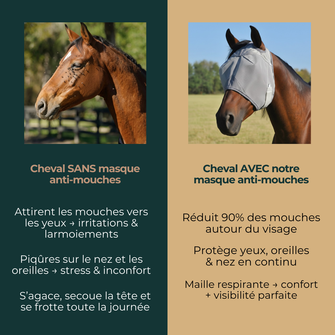 Masque anti-mouches respirant avec protection intégrale